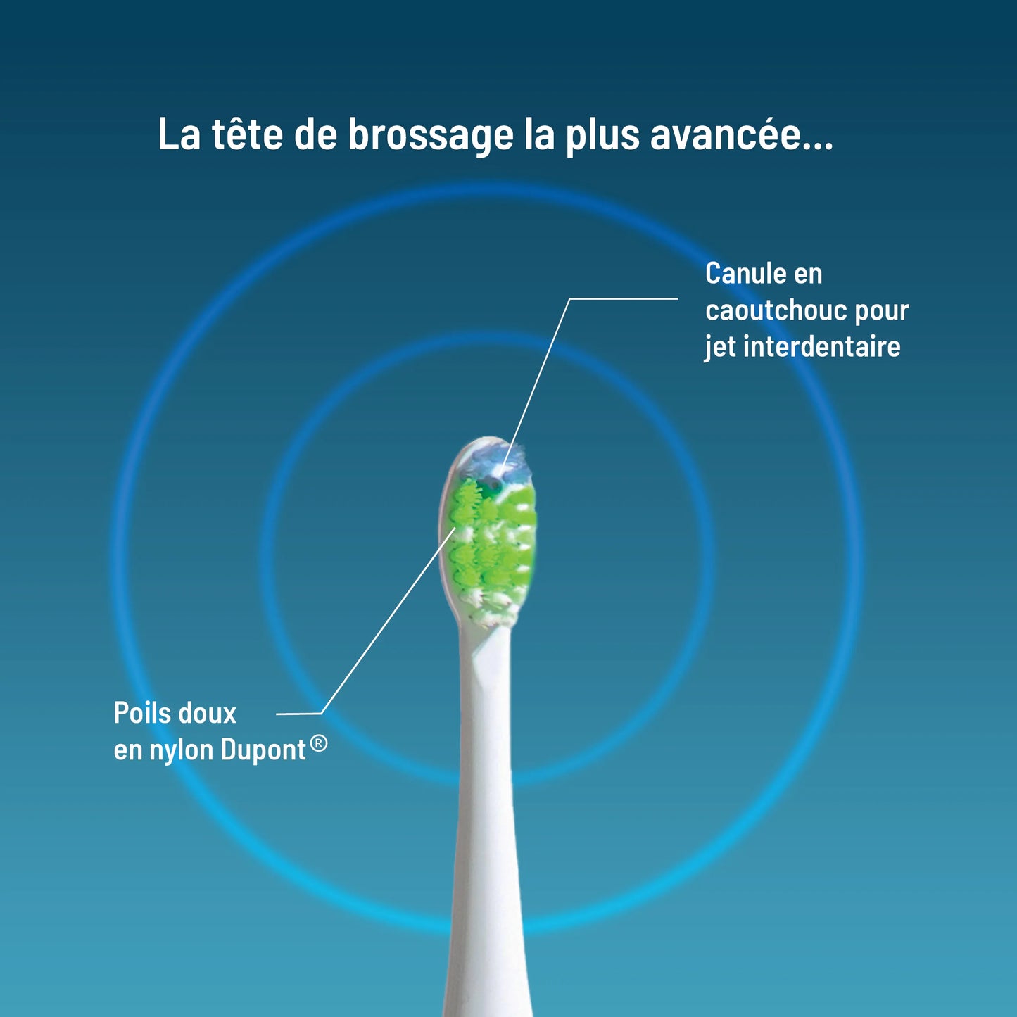 Brosse à dents électrique 3-en-1 Kleeneo™